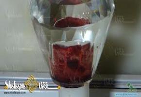15771111925e00ce984abda20.jpg