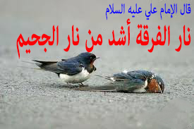 15772731985e03476ecc8f2705.jpg