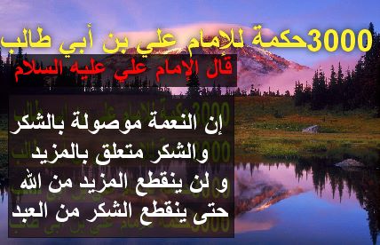 15772731995e03476f1217a2264.jpg