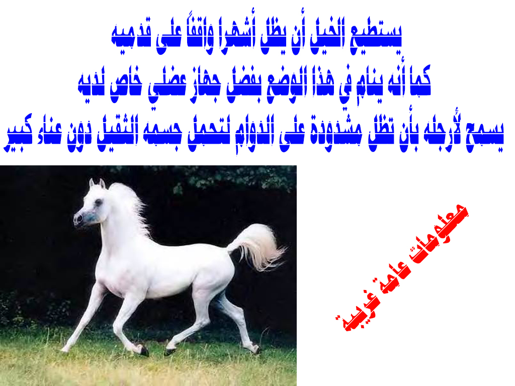 15772756905e03512a7f2af2299.jpg
