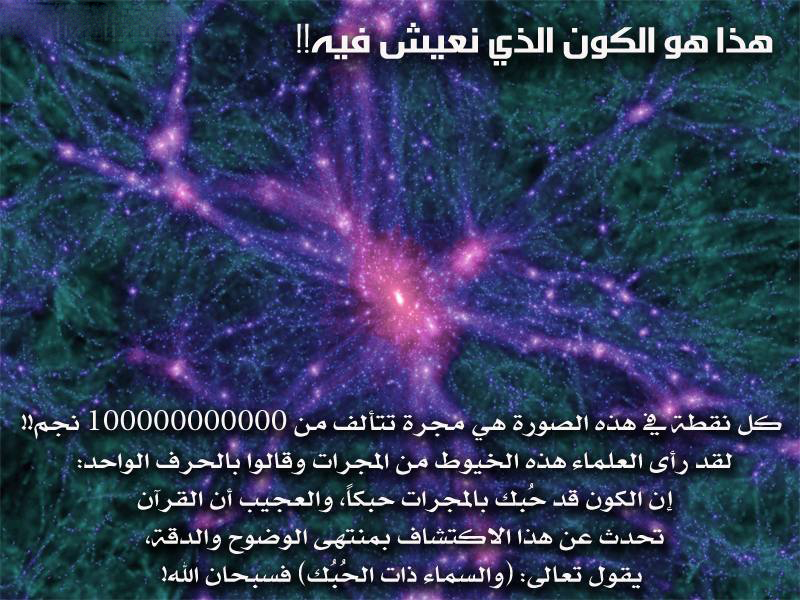 15772756905e03512abe3a82331.jpg
