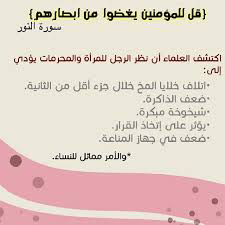 15772756905e03512add0ad2347.jpg